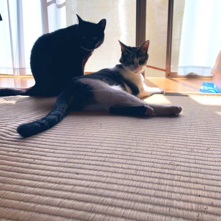 A7c2b50e 05c0 4e5a 8953 9dcbab2b7b03 1569037746620