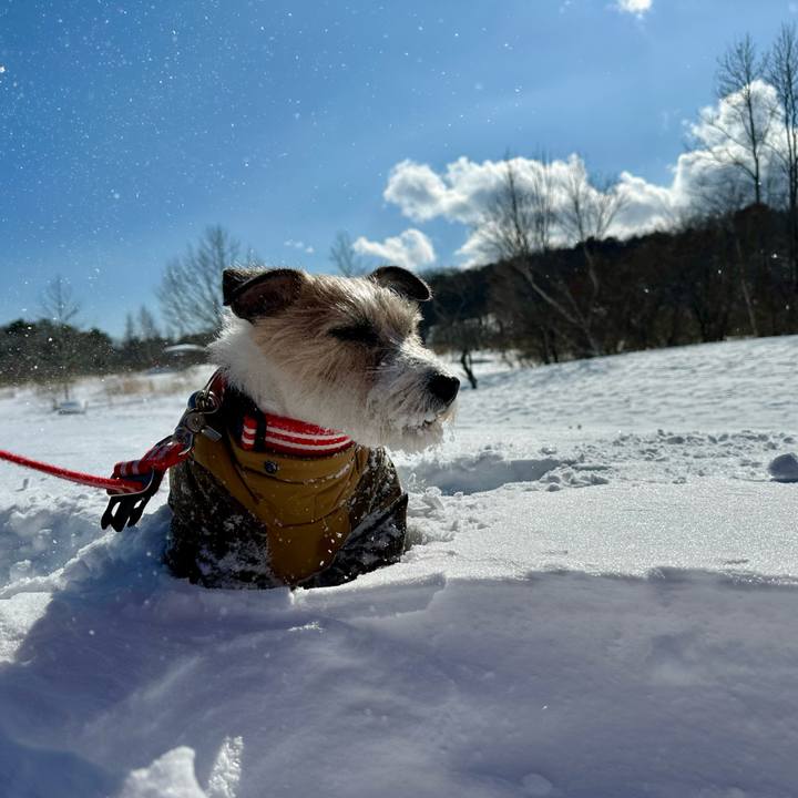 A7c2baa1 3c41 4d79 a672 62680a23f0a5 1739978782601