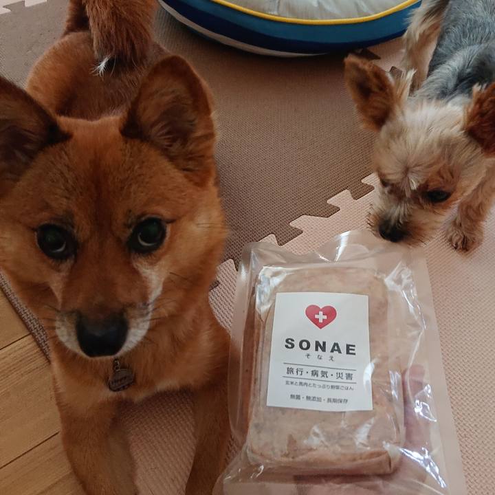 A7c2d3fd f456 49fe ae1e 4a2da41d59b6 1566772781877