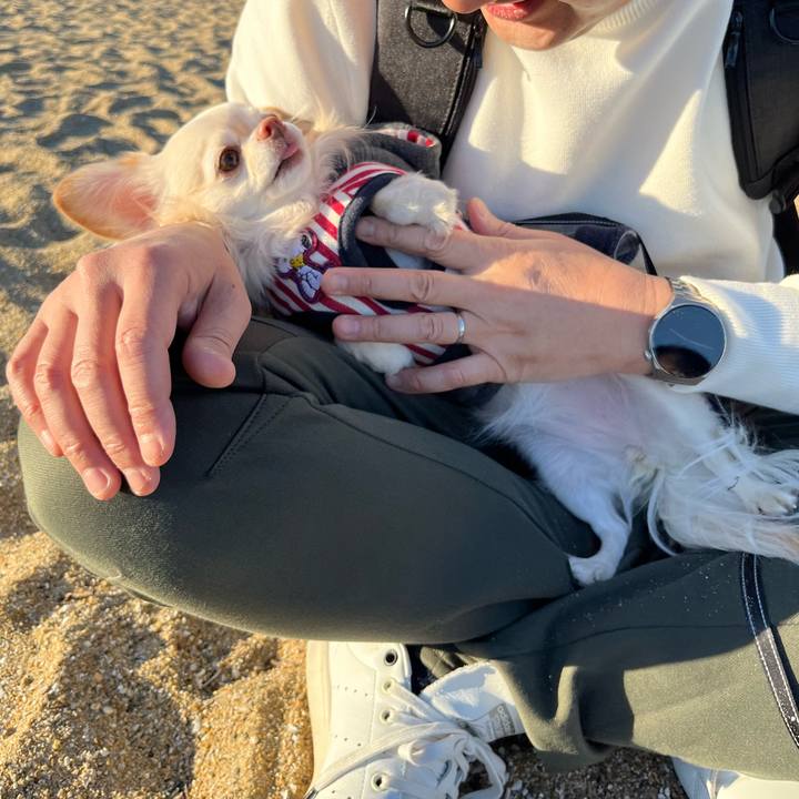 A7c2de9a 4a3a 454c 81f7 1e92c5fd056c 1735822472167