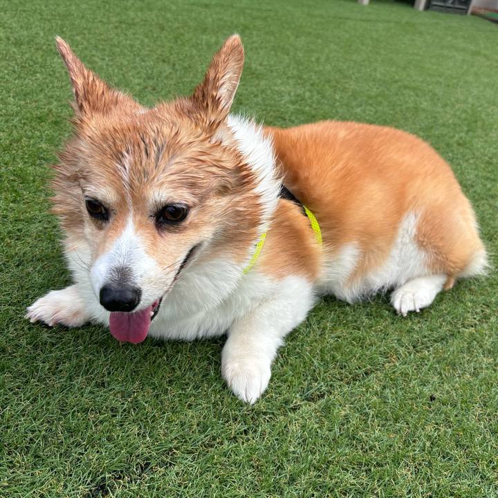 A7c2e418 ebd4 47f3 b4f6 06b22afe88cc 1751411543604