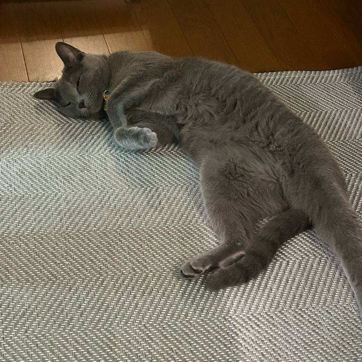 A7c2f0f6 fd28 4998 99f9 8428bba49b20 1722561746195