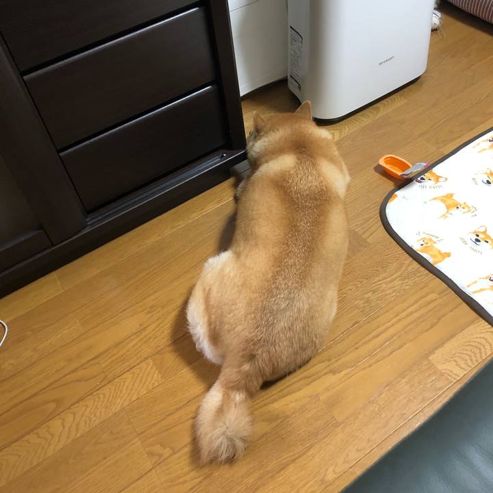 A7c31568 8ded 4359 a118 8200c475c218 1564495170022