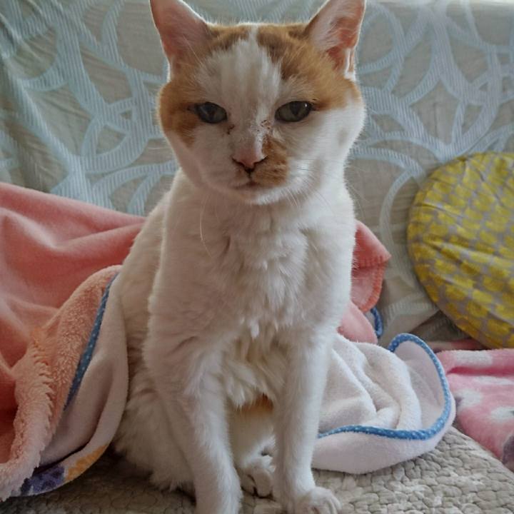 A7c357ef e8fd 4bb7 9146 5999a7c5f813 1553403843443