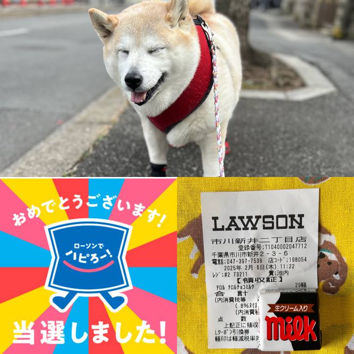 A7c35b0f d9cb 4052 a8c4 d74daaa68c61 1738816102246