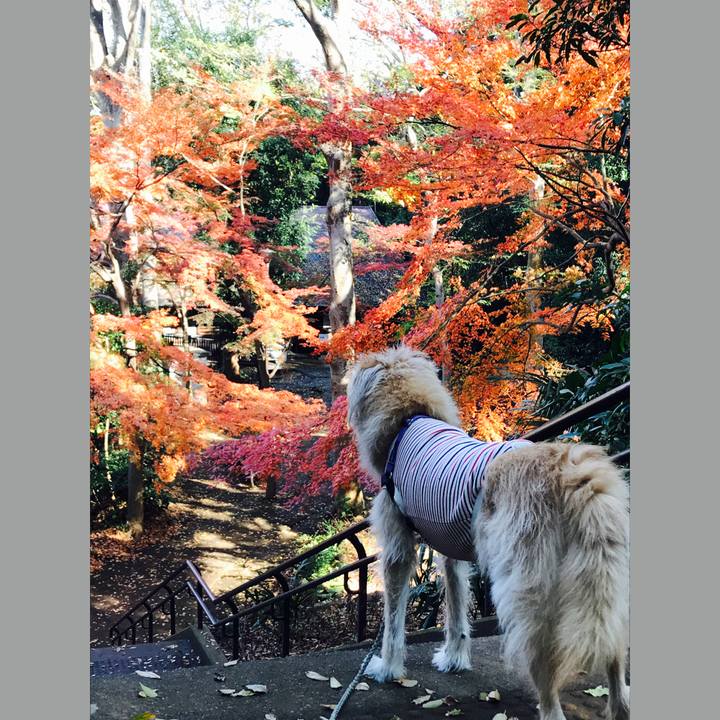 A7c362ae 7b2d 4143 b7af 45cdf9c6cdbf 1576151844775