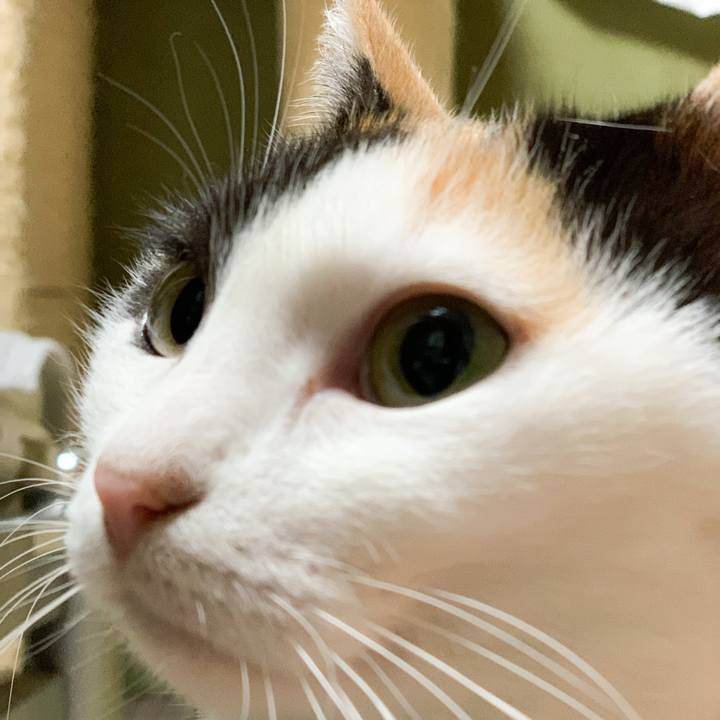 A7c38c45 b11d 4656 9601 15c3605c7b1b 1576893135891