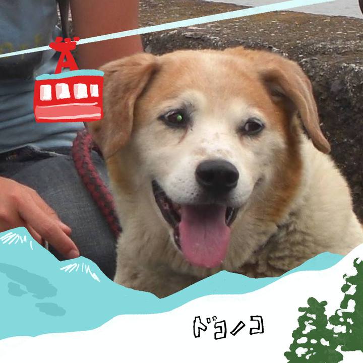 A7c38cc9 dc3c 4673 bf9f fb62efc59fea 1706921136603