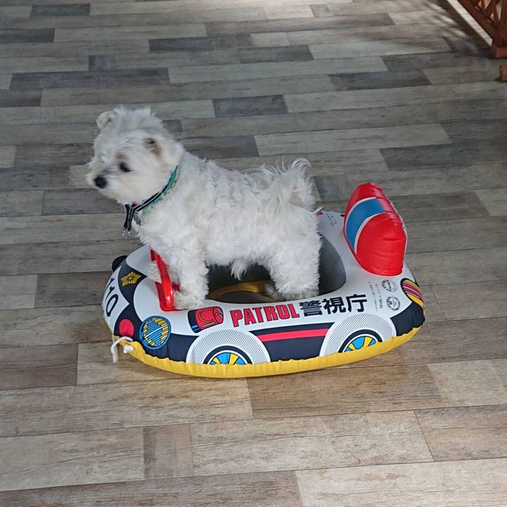 A7c3a41d 5901 4abd bdfa c3c2f225c43a 1584863157753