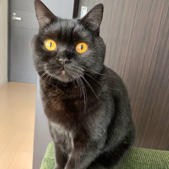 A7c3dc64 5269 4693 86c0 2c293003cd5c 1614569352922