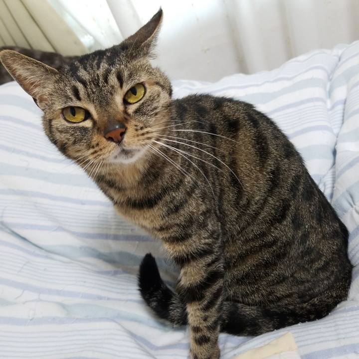 A7c3e368 a197 44d8 9dce dc8e292bba81 1590355406675