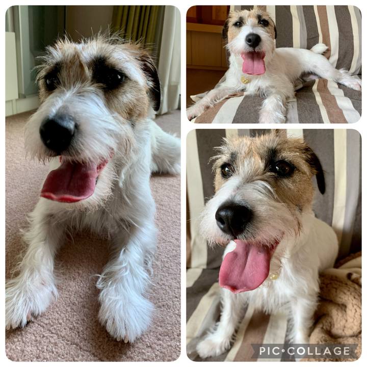 A7c3ee0d ae06 48d2 93e2 cb0d4b5f8663 1621080889533