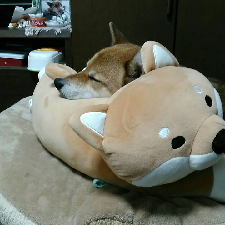 A7c43e56 7cfb 4e73 a884 cb963848f94d 1536382070667