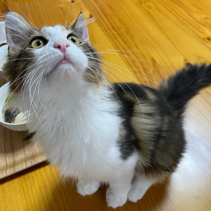 A7c4571b 4286 4a3e 9369 3e9ff46dc33b 1636538250209