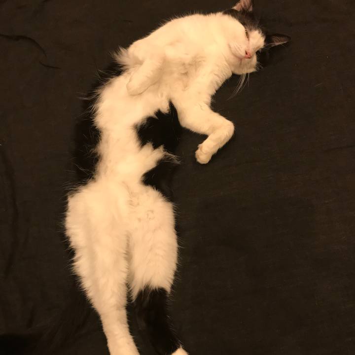 A7c46ceb 2bf1 4cdc a6a7 bc1e6ea5e045 1592230176809