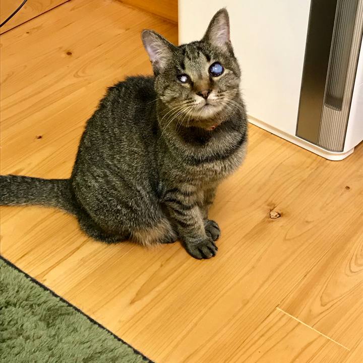 A7c487f2 a725 4f16 a439 5b01bc46f5f0 1563763453271