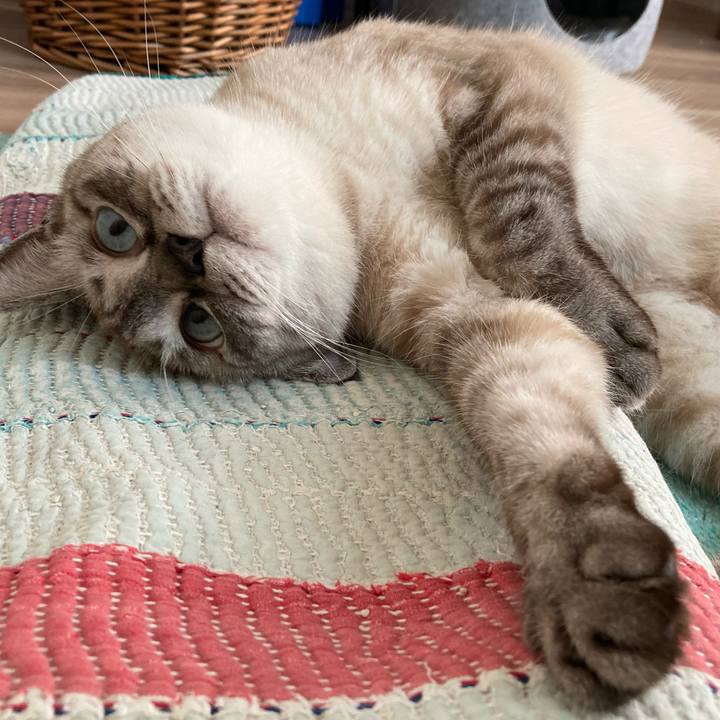 A7c48b54 a444 4f8e b6d6 bdadc0eab5cb 1659426640897