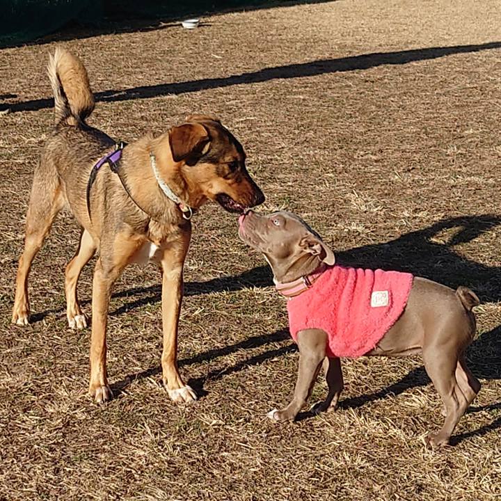 A7c48c4c 53b2 440a 9280 a41a42c22fe7 1704529023433