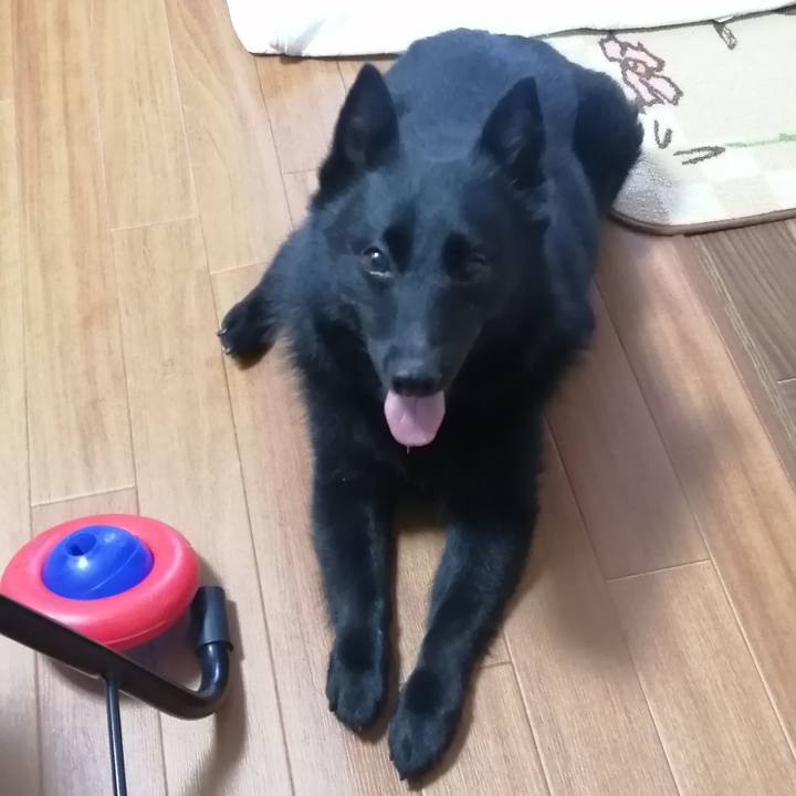 A7c4b0f9 595d 4f93 9cd6 5c5d905e4f45 1656021882895