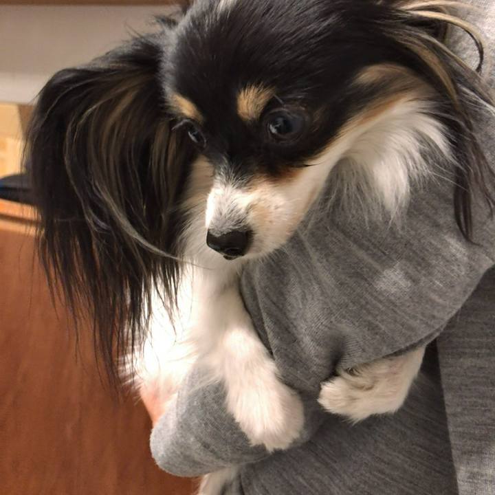 A7c4c3e1 25eb 428f 8819 34fbcf09d62d 1543149384353