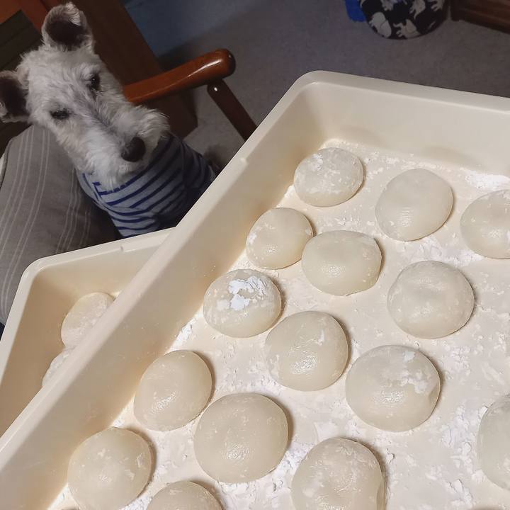 A7c4e053 c026 4720 8465 bcc97f996b54 1640747381257