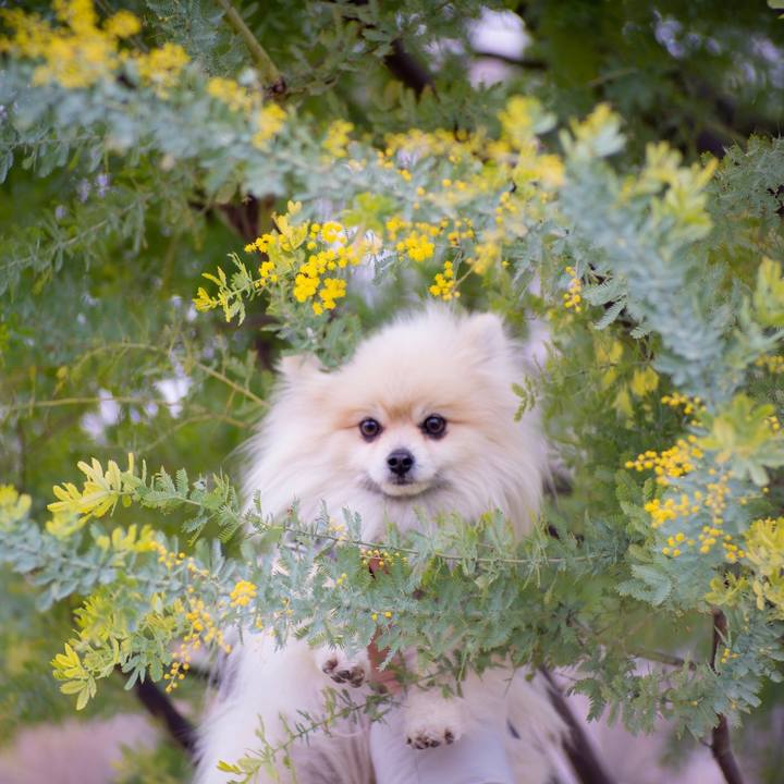 A7c5174e 0bc4 462e 84d0 7000347abfb7 1550271243647