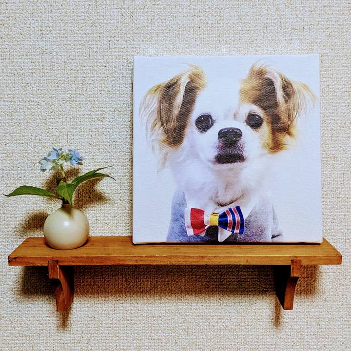 A7c51c8e 5c5e 4f44 8bcc 82cfde61f7ba 1686911779011