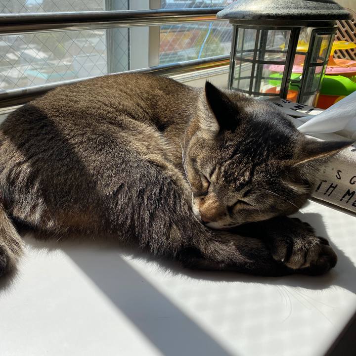 A7c52bfa bbff 40b7 a16b e19604c13e19 1586174578284