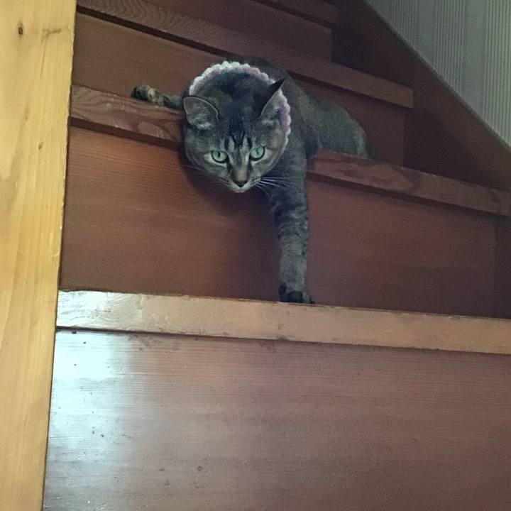 A7c52c43 e6fb 410e b2f2 01f035dd2341 1625292341376