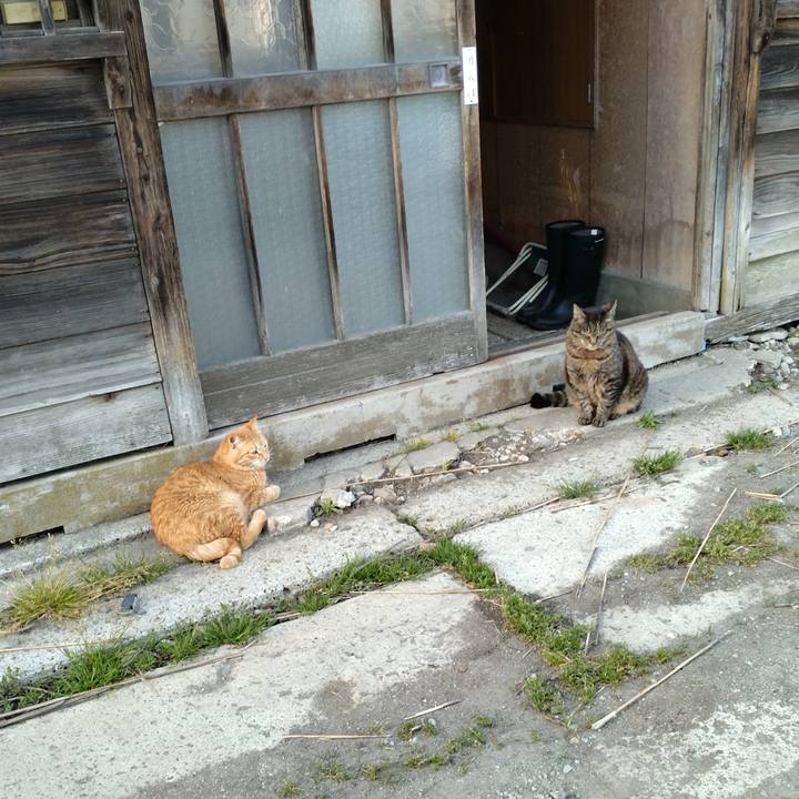 A7c53eeb 2f04 49e4 a473 79c9181efa88 1682672956346