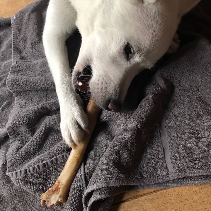 A7c54fd1 74f7 4c2f af9a 76ab2549919a 1604311290388