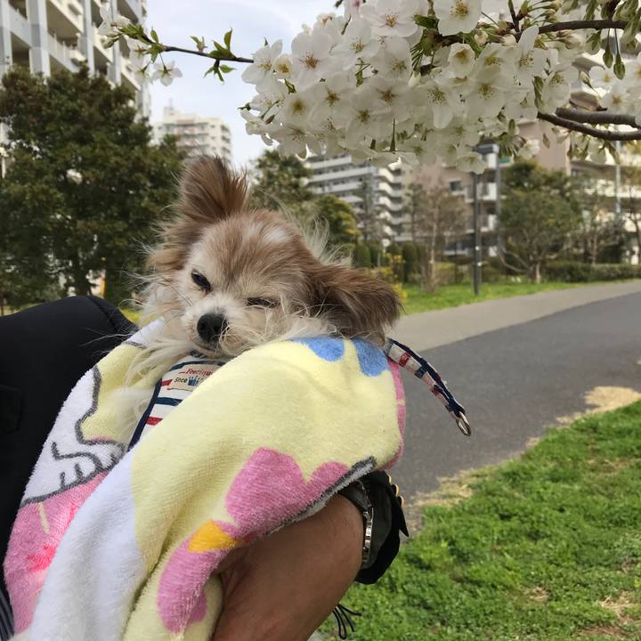 A7c5669c e51e 41fb 84cc 5c056f53e4ff 1522038682168