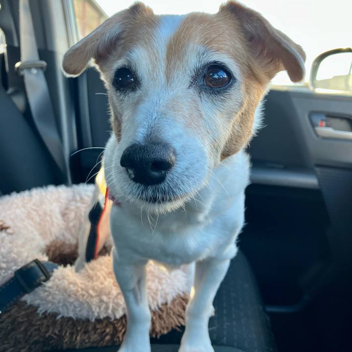 A7c586e4 11b2 4f39 b509 66c7dd6ea054 1701569926183