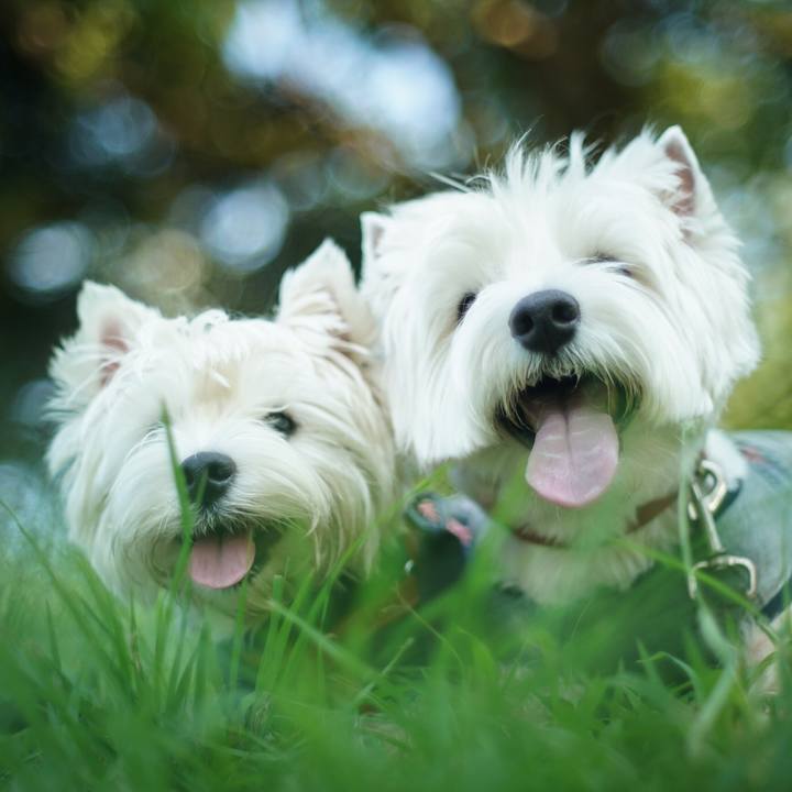 A7c59172 559f 415b 9a01 1c1cf333ecf8 1533905071076