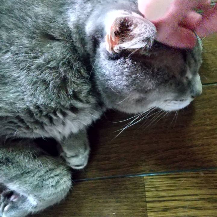 A7c5b244 8ee9 4971 bd1b d456675b4fd4 1662934657913