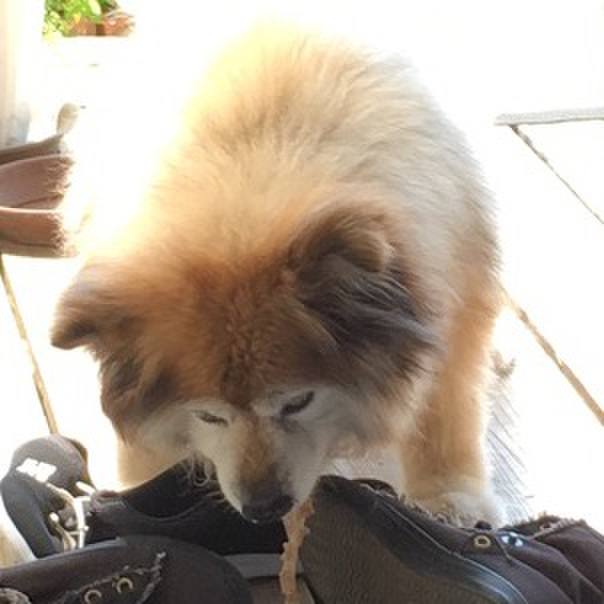 A7c5ca8b a05e 4198 886c a5dfd36dc90b 1609686480252