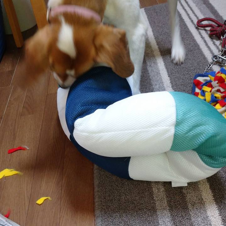 A7c5cc7d 73c8 4545 bcd1 221a98eda4e1 1597824243404