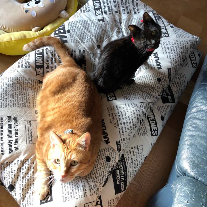 A7c5d50e 6b6e 4b40 89b6 bf1cc0fe61e6 1558342051536