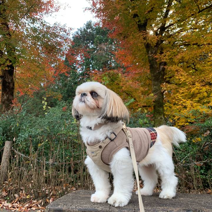 A7c5f5b9 fa56 4f01 9e2c f85c5156785a 1637527162628