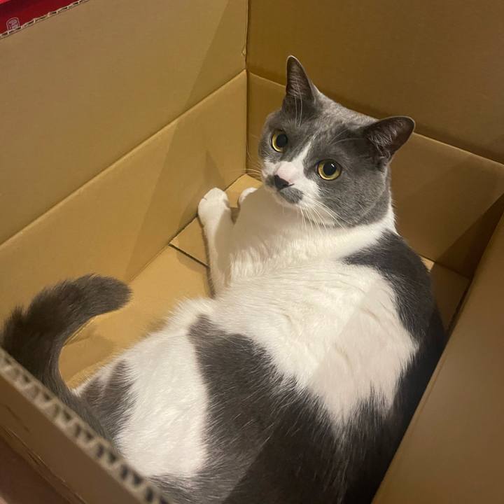 A7c6655a c0fd 4f7c b4ea 23ea90dae751 1674638706222