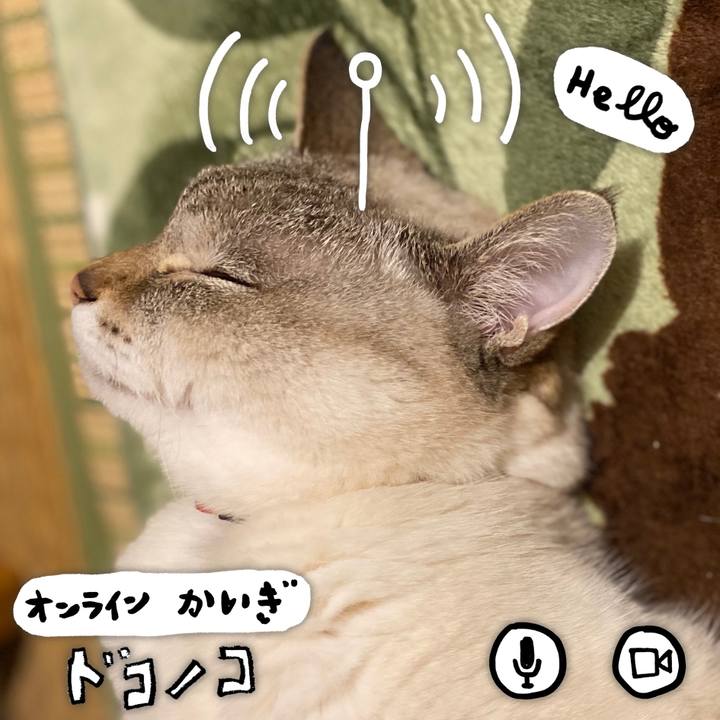 A7c6fa67 1e9c 4a49 97d9 ab992ff65f8a 1590751758585