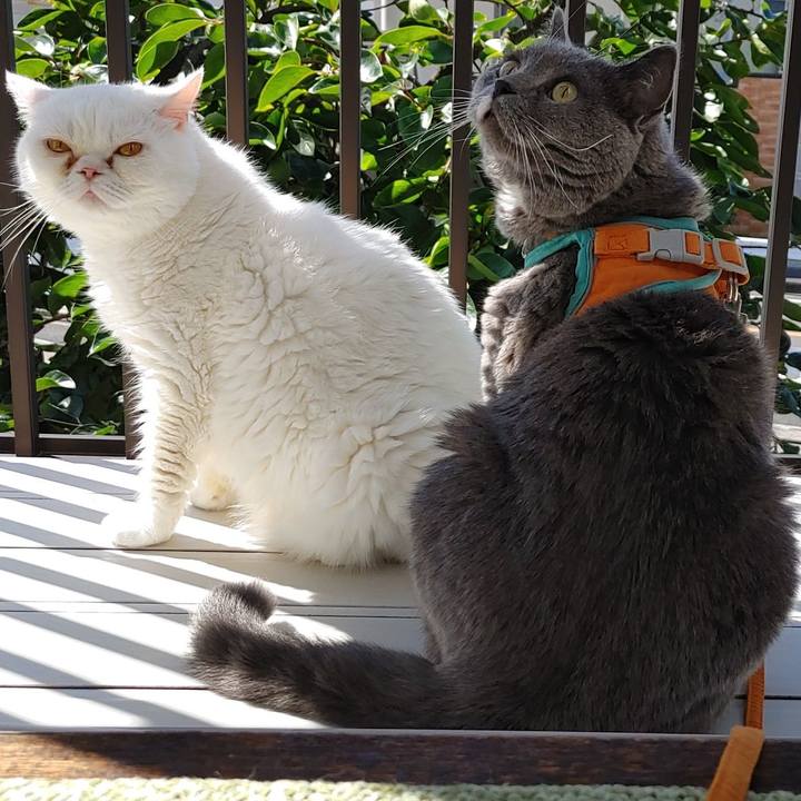 A7c6fc74 b2eb 4838 b09b 169a39835b18 1658620085330