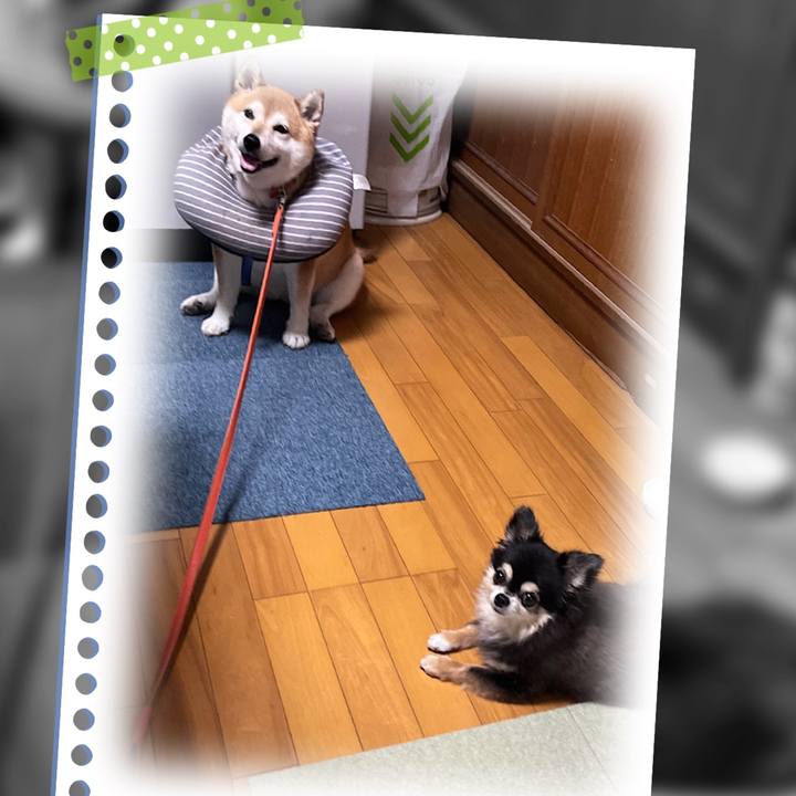 A7c71234 5ca9 4e34 9df7 792b6ef49171 1689255597008