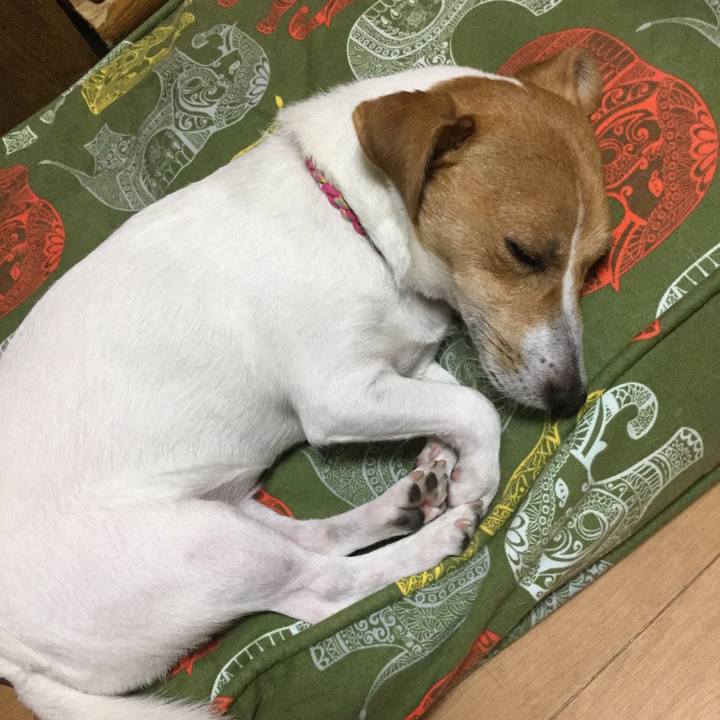 A7c77530 7584 4ed6 a073 f042e461e3a3 1541684244579