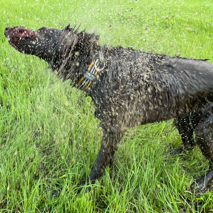 A7c78813 c87e 45c9 90d2 ce47a5a230ea 1626341537466