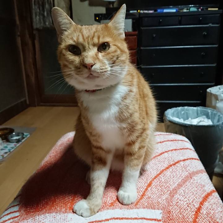 A7c79241 2a64 405d 8d03 d592cbe45bcb 1603395737637