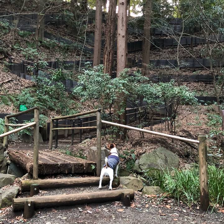 A7c7a763 c7d5 439c a889 e76340ec3a8e 1519943856612