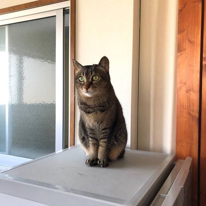 A7c7a941 e139 4652 9d38 6abe9cdf24ab 1668995798608