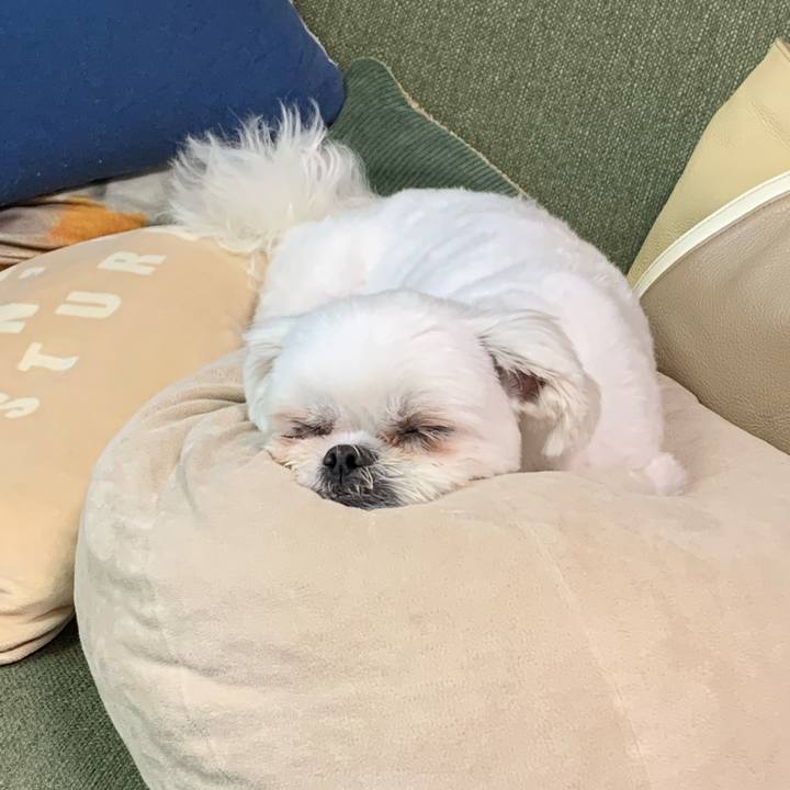 A7c7b90f b3ae 452f a049 0e1e0d61f2d8 1681943462246