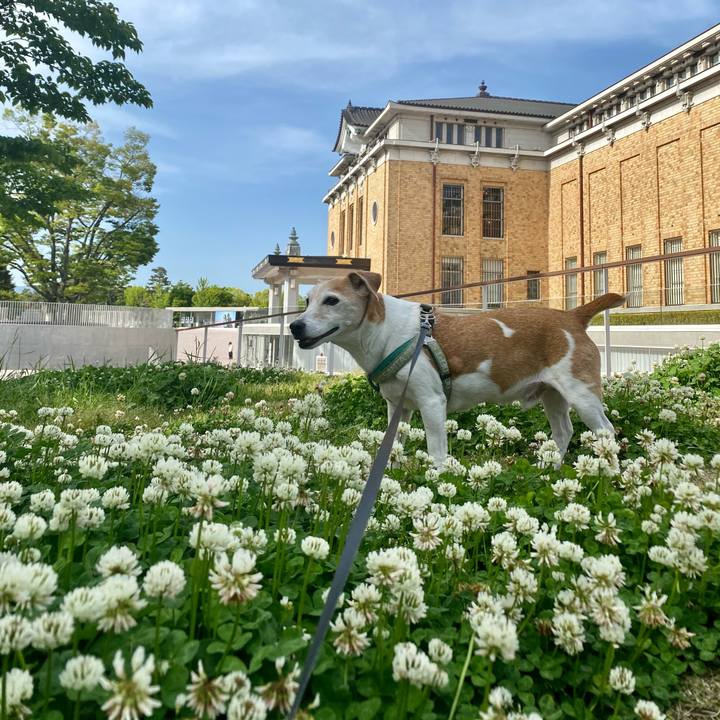 A7c7c0e2 0300 4c4f 864e 1f08b37942d1 1683183744468